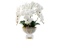 Luxury Centrepiece Orchid Bouquet - Ivory White - CPO01 (Carton of 1)
