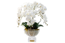 Luxury Centrepiece Orchid Bouquet - Ivory White - CPO01 (Carton of 1)