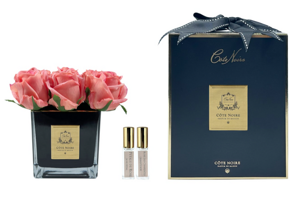 Couture Nine Rose Buds - Black - Peach (Carton of 2)