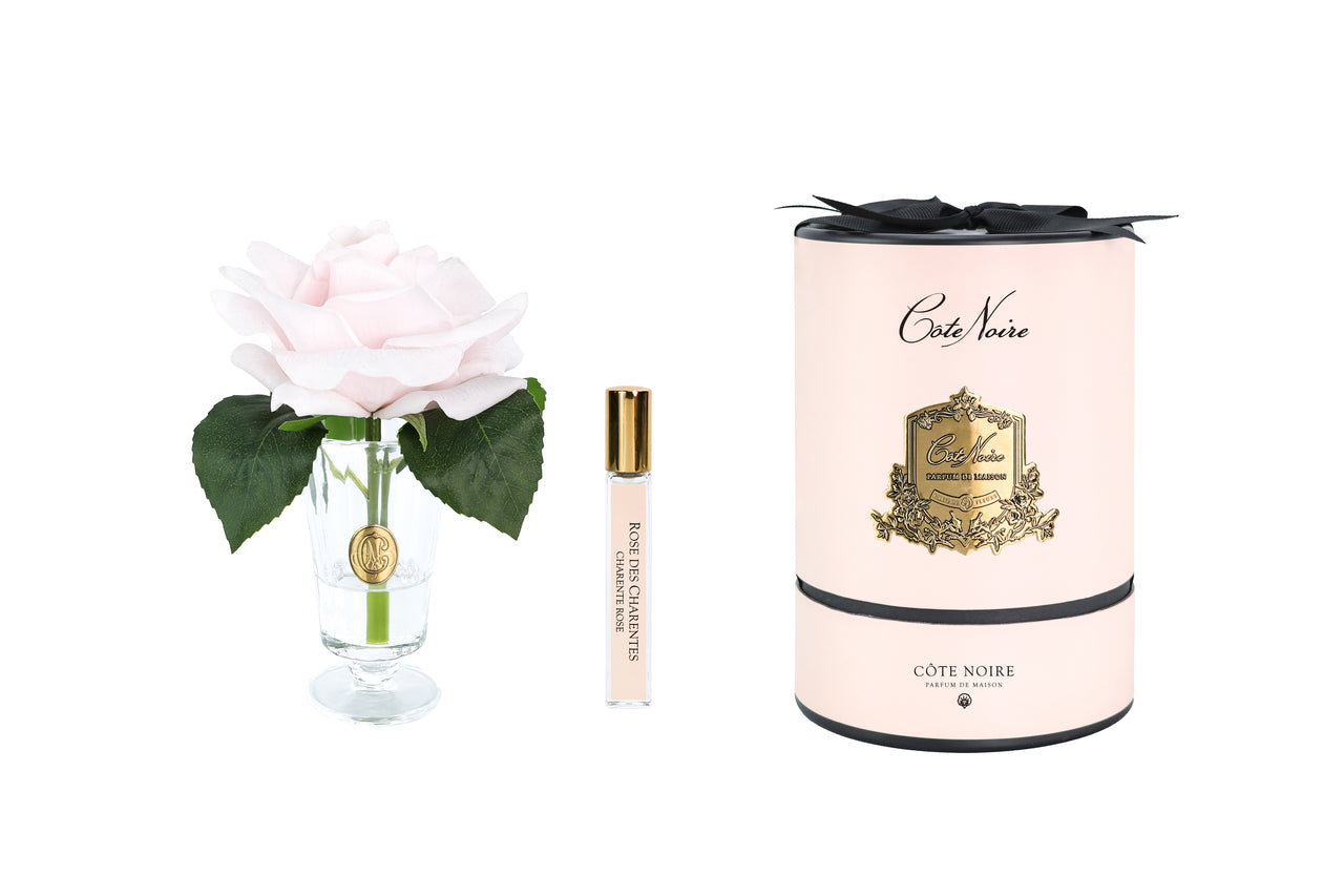 " PRE-ORDER " NEW - Charente Rose in French Pink- Gold/Pink Box - CHR06 (Carton of 6)