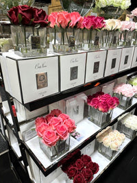 Couture Four Rose Buds - Clear - Peach - SVS405 (Carton of 4)