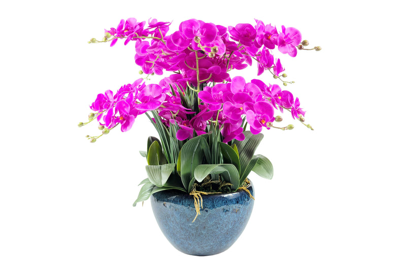 Luxury Giant Orchid Bouquet - Ceramic Pot - Fuchsia - GO09 (Carton of 1)