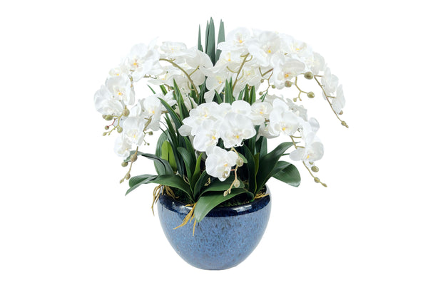 Luxury Giant Orchid Bouquet - Ceramic Pot - Ivory White - GO01 (Carton of 1)