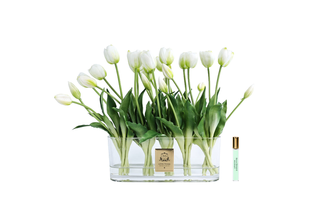 Oval Tulips - White - OT01 (Carton of 1)