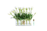 Oval Tulips - White - OT01 (Carton of 1)