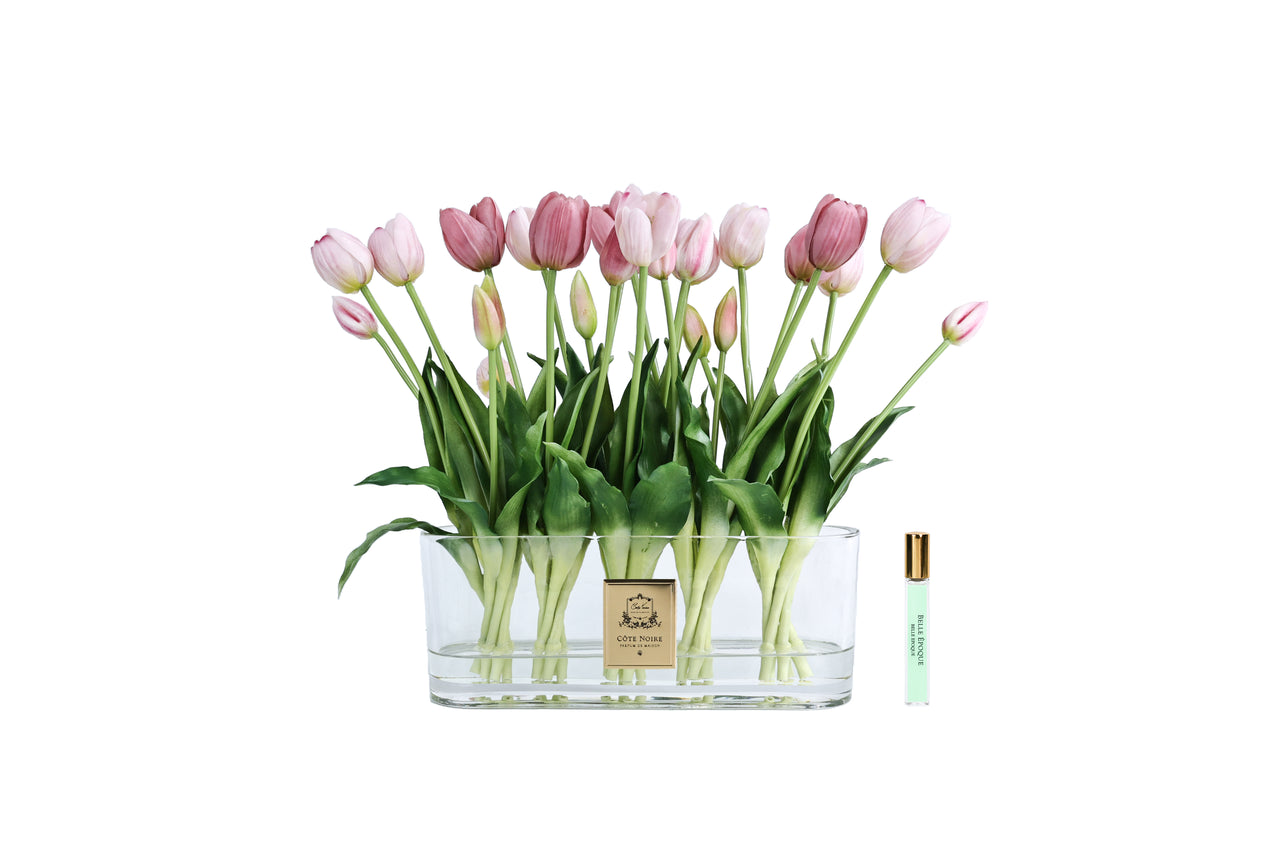 Oval Tulips - Pink - OT02 (Carton of 1)