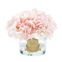 Hydrangea in Round Vessel - Pink Blush - Pink Box - GMH88 (Carton of 4)