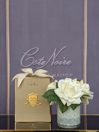 Herringbone Flower - Cream - Champagne Roses - HCF02 (Carton of 2)