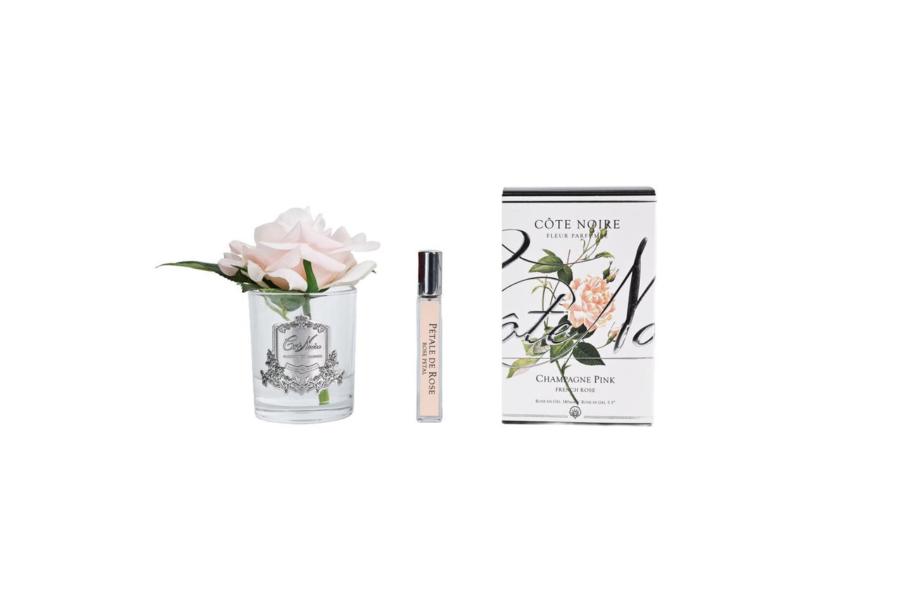 Single Rose - Clear Glass - Champagne Pink - GMR15 (Carton of 4)