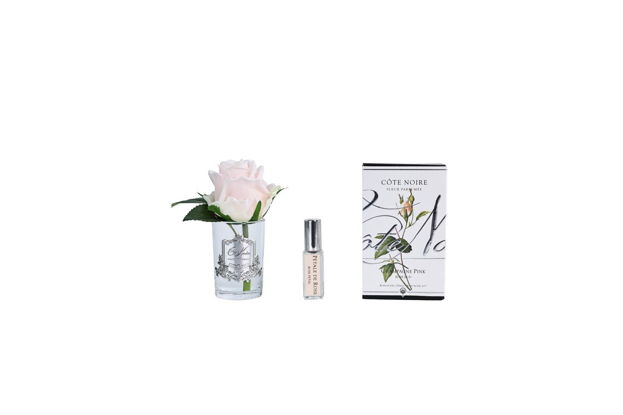 Rose Bud - Clear Glass - Champagne Pink -  GMR55 (Carton of 6)