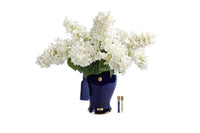 Indigo & Ivory Hydrangeas - INDH01 (Carton of 1)