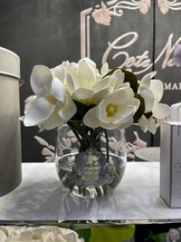 NEW - Magnolia - White with Silver Badge