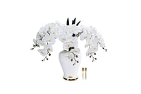 Imperial Orchid - White - IMPO01 (Carton of 1)
