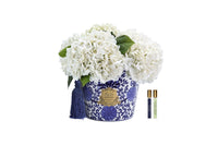 Oriental Hydrangeas - Ivory - OH01 (Carton of 1)