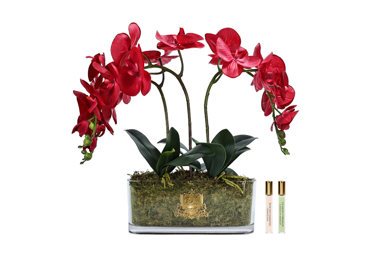 Oval Orchid Bouquet - Red - OOV14 (Carton of 1)