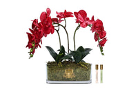 Oval Orchid Bouquet - Red - OOV14 (Carton of 1)