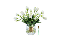 Heritage Tulips -White Tulips (Carton of 1)