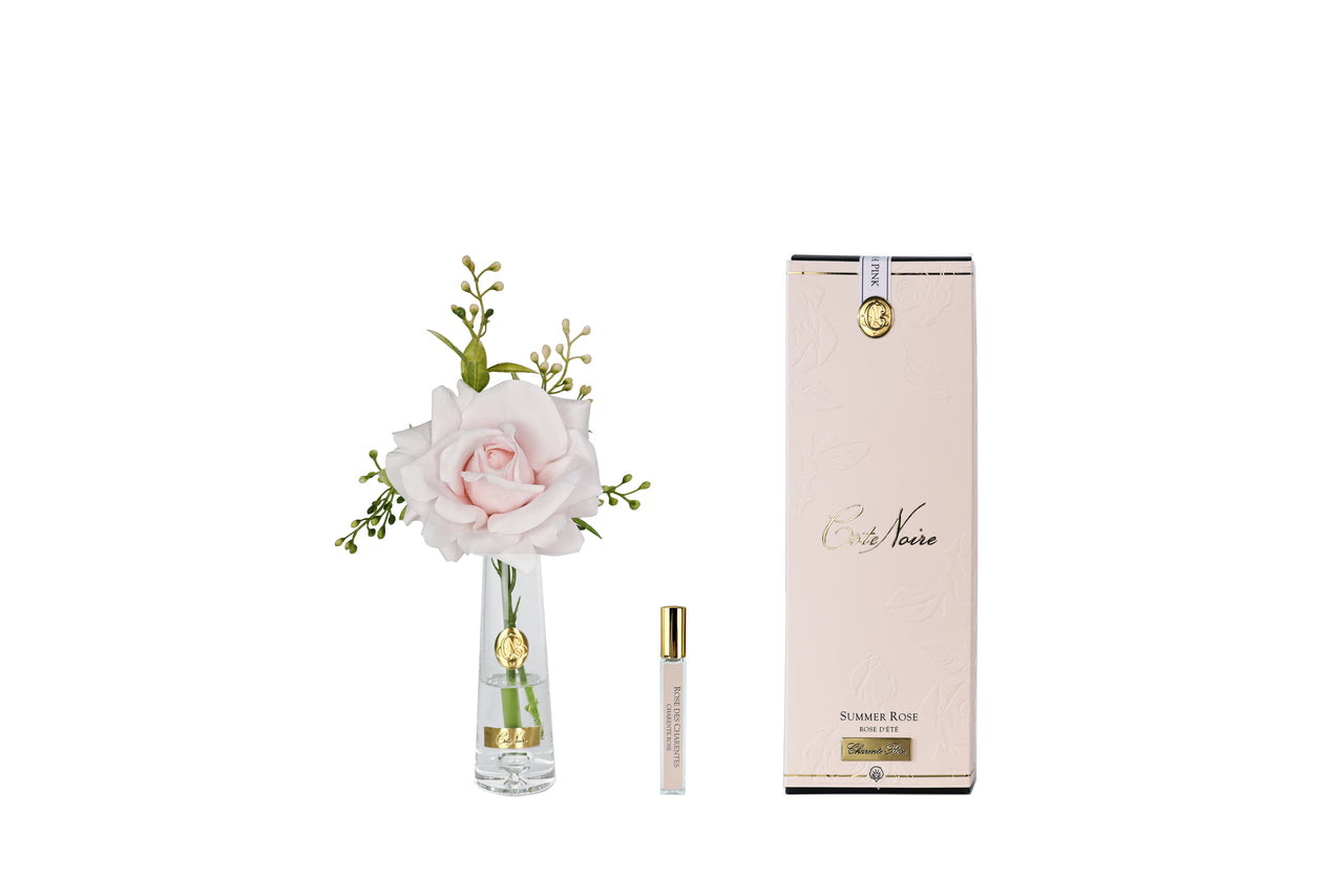 Summer Rose French Pink - Gold Badge - SRG06 (carton of 4)
