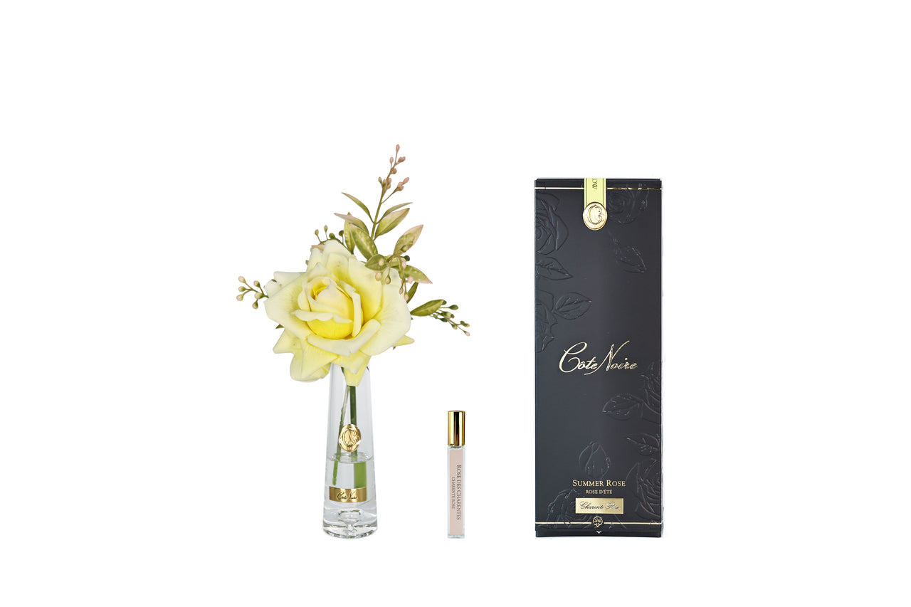 Summer Rose Yellow - Gold Badge - SRG08 (carton of 4)