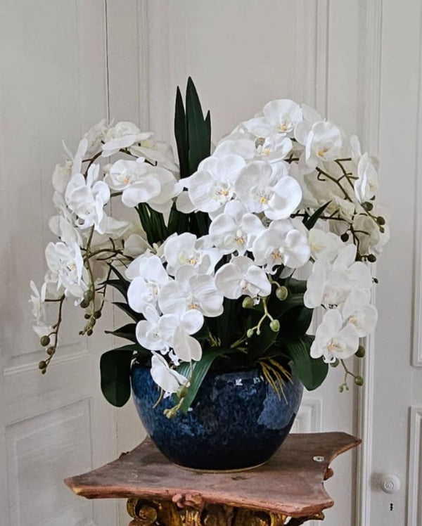 Luxury Giant Orchid Bouquet - Ceramic Pot - Ivory White - GO01 (Carton of 1)