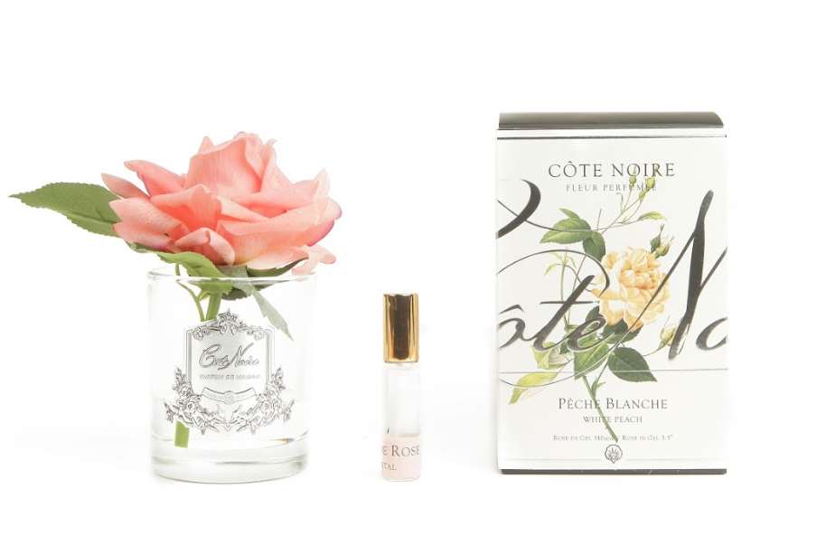 Single Rose - Clear Glass - White Peach - GMR05 (Carton of 4)