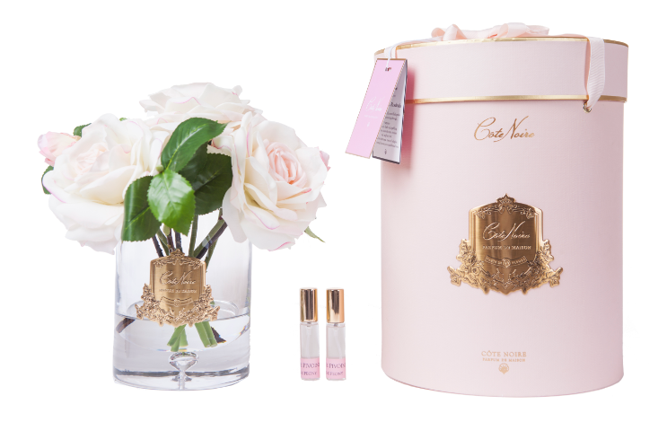 Luxury Tea Rose -  LTD Pink Blush - Pink Box - LTR20