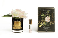 Single Rose - Black - Pink Blush - GMRB02 (Carton of 4)