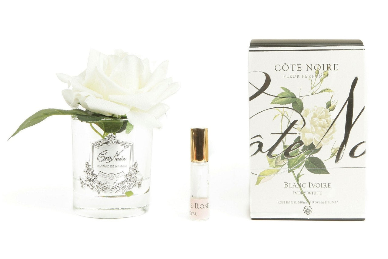 Single Rose - Clear Glass - Ivory White - GMR01 (Carton of 4)